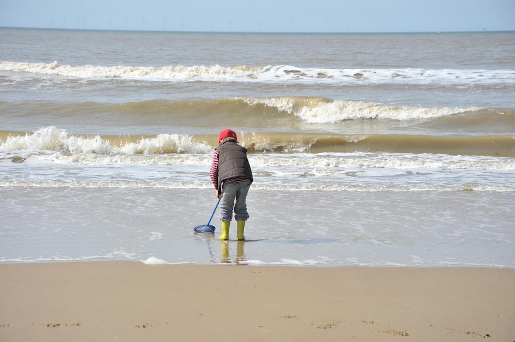 Hotel Zuiderduin Egmond aan Zee Dış mekan fotoğraf